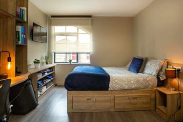 Large Studio Plus - Image 1