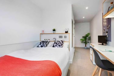 Ensuite Deluxe Plus at 27 Magdalen Street, 27 Magdalen Street, New Town, Colchester, CO12ZT - Image 2