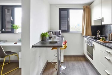 Studio Classic - Image 3