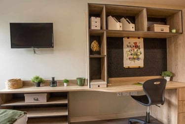 Standard Studio - Image 6