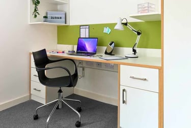 Studio Gold - Image 8