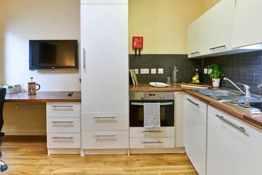 Studio Classic - Image 4