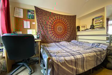 4 bed house, Roath, Plasnewydd, Cardiff, CF243HG - Image 4