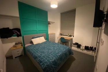 3 bed house, Brynmill, Swansea, SA14NA - Image 2