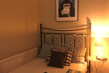 5 bed house, Uplands, Swansea, SA20JA - Image 4