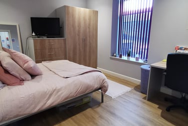 4 bed house, City Centre, Mount Pleasant, Swansea, SA13HE - Image 4