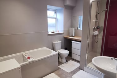 4 bed house, City Centre, Mount Pleasant, Swansea, SA13HE - Image 9