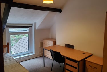 7 bed house, Brynmill, Swansea, SA14LW - Image 15