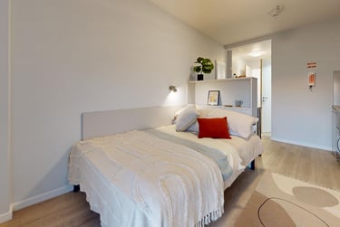 Silver Studio Plus - Image 1