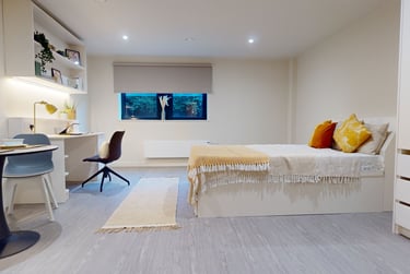 Platinum Studio Plus - Image 1