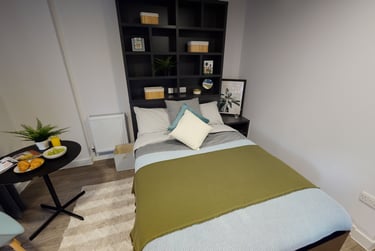 Platinum Studio Plus - Image 1