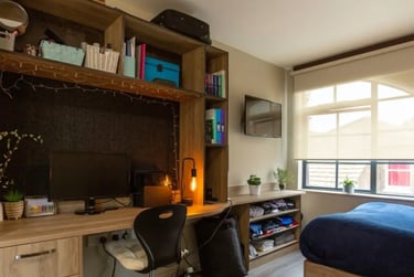 Large Studio Plus - Image 1