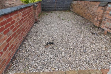 2 bed house, Western Road, City Centre, Leicester, LE30ED - Image 10