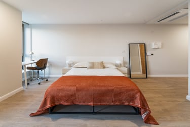 1 bed studio, Bournbrook, Selly Oak, Birmingham, B297BH - Image 3