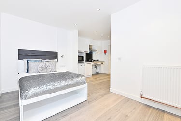 Large Premium Studio - Image 2