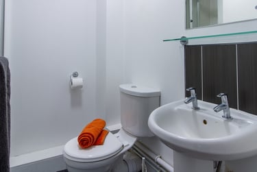 Silver Single with View at Alexandra Hall, Victoria Terrace, Central, Aberystwyth, SY232DH - Image 2