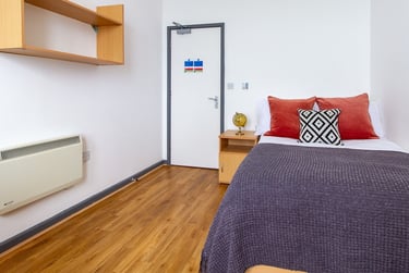 Bronze Ensuite at Alexandra Hall, Victoria Terrace, Central, Aberystwyth, SY232DH - Image 2