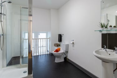 Bronze Single Room at Alexandra Hall, Victoria Terrace, Central, Aberystwyth, SY232DH - Image 3