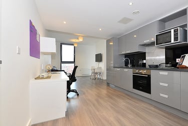 Premium One Bed Apartment at 88 Bromsgrove House, 88 Bromsgrove House, City Centre, Birmingham, B56QB - Image 5