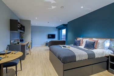 Prestige Accessible Studio at Crown House, West Bar, Broomhall, Sheffield, S38PH - Image 1