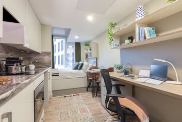 Gold Plus Studio at LIV Student Sheffield, 131 Ecclesall Road, City Centre, Sheffield, S118HY - Image 2