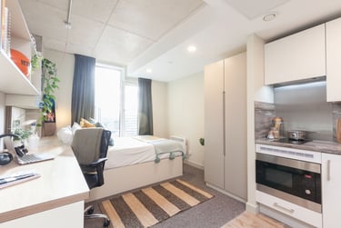 Silver Plus Studio at LIV Student Sheffield, 131 Ecclesall Road, City Centre, Sheffield, S118HY - Image 6