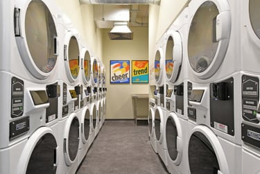 Silver Plus Studio at LIV Student Sheffield, 131 Ecclesall Road, City Centre, Sheffield, S118HY - Image 46