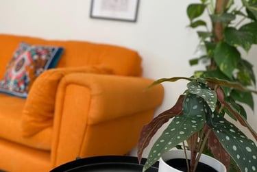 4 bed house, Derwent Drive, City Centre, Loughborough, LE113RJ - Image 2