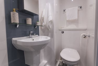 Silver Plus Ensuite - Image 4