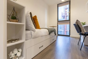 Premium Plus Studio - Image 1