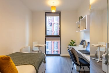 Premium Plus Studio - Image 2