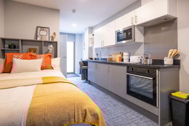 Deluxe Studio at Ash Grove Court, Ash Grove, University Of Surrey, Guildford, GU28US - Image 2