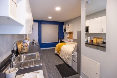 Premium Studio at Ash Grove Court, Ash Grove, University Of Surrey, Guildford, GU28US - Image 9