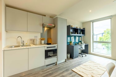 Gold Plus Studio at Pershore Junction, 1-3 Dogpool Lane, Selly Park, Birmingham, B302XN - Image 4