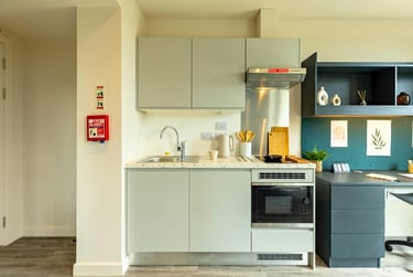 Gold Extra Studio at Pershore Junction, 1-3 Dogpool Lane, Selly Park, Birmingham, B302XN - Image 4