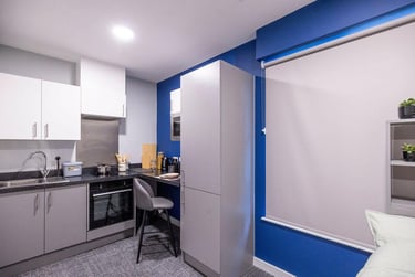 Standard Studio at Ash Grove Court, Ash Grove, University Of Surrey, Guildford, GU28US - Image 6