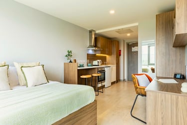 Deluxe Studio - Image 1