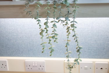 Ensuite - Silver at The Old Fire Station, 256 King Street, Central, Aberdeen, AB245BU - Image 7