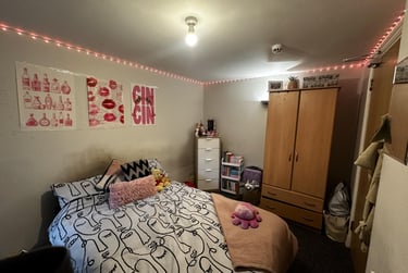 7 bed house, Merthyr Street, Cathays, Cardiff, CF244JL - Image 3