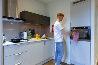 true Studio Plus - Image 2