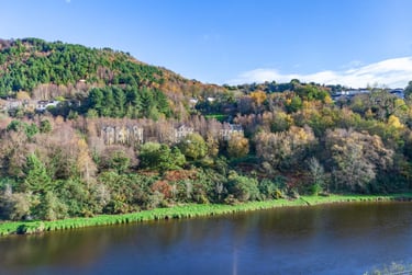 true Apartment - 5 Bedrooms - Image 11