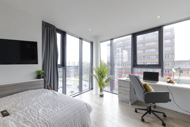 Gold Studio - Image 4