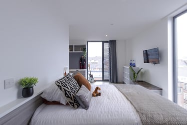 Platinum Studio - Image 2