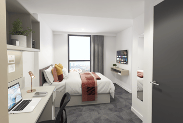 true Deluxe Studio - Image 1