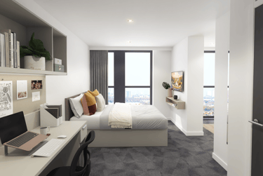 true Studio Plus - Image 2