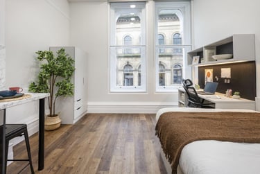 Premium Plus Studio - Image 2