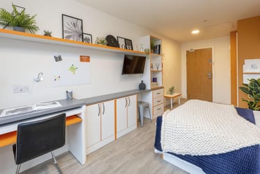 Classic Studio at Hannah Court, Matilda Street, Sheffield Hallam University, Sheffield, S14TP - Image 2