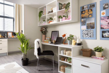 Premium Plus Studio - Image 3