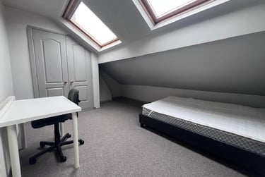 6 bed house, Springvale Road, Crookesmoor, Sheffield, S63NU - Image 9