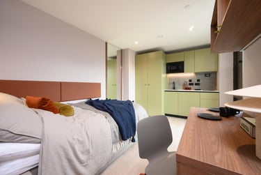 Premium Plus Studio Castle View at The Pepper Mill, 24-36 Dunedin Street, Marchmont, Edinburgh, EH74JG - Image 1